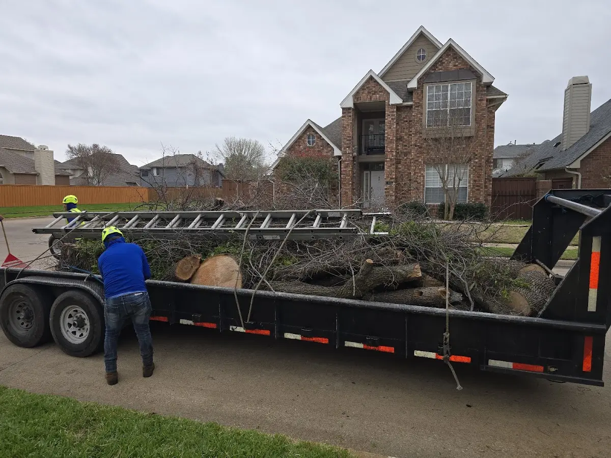 Expert Lot Clearing with proper safety equipment in Forest